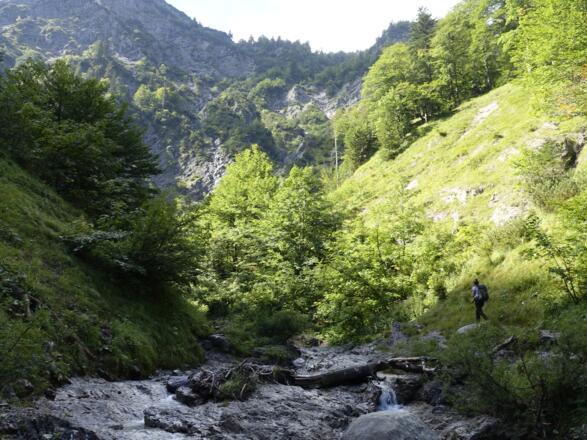 Blick in die Wolfsschlucht