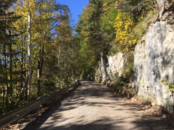 Wanderung zur Oberen Firstalm