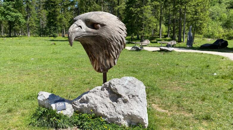 Steinadler-Beobachtungsplatz