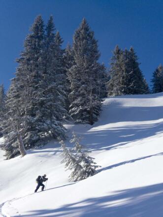 Harte Spurarbeit in den steilen Waldlichtungen ist der Preis für eine schöne Tiefschneeabfahrt.