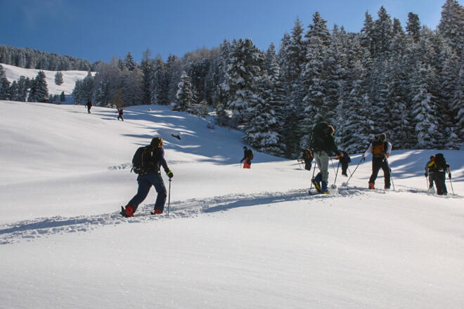 Aufstieg über das Almgelände der Poversalm