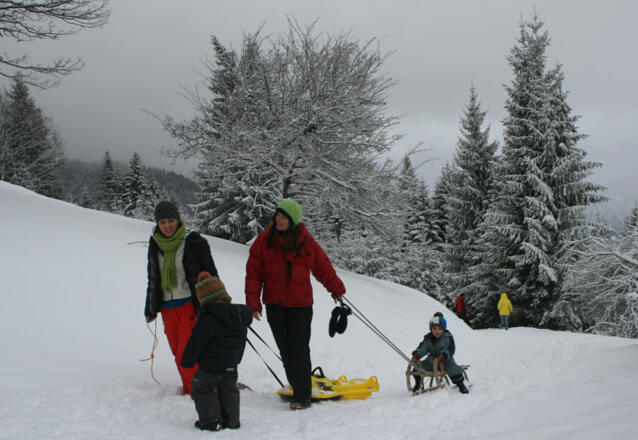 Die letzten Meter zur Denkalm
