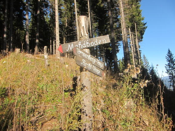 der Forstweg bei der Ochsenhag-hütte ist erreicht