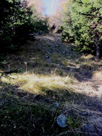 steil bergauf Richtung Hirschkopf