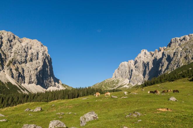 Auf der Alpe