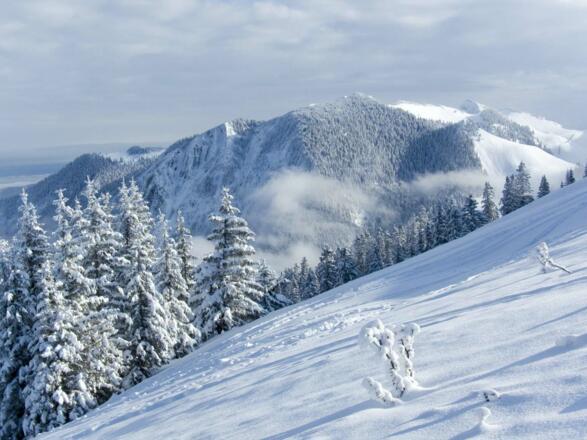 Ausblicke vom Gipfelhang zum Benzingspitz und zum Aiplspitz