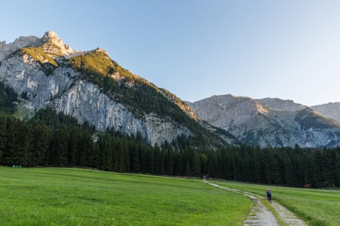 Weg in den Wald