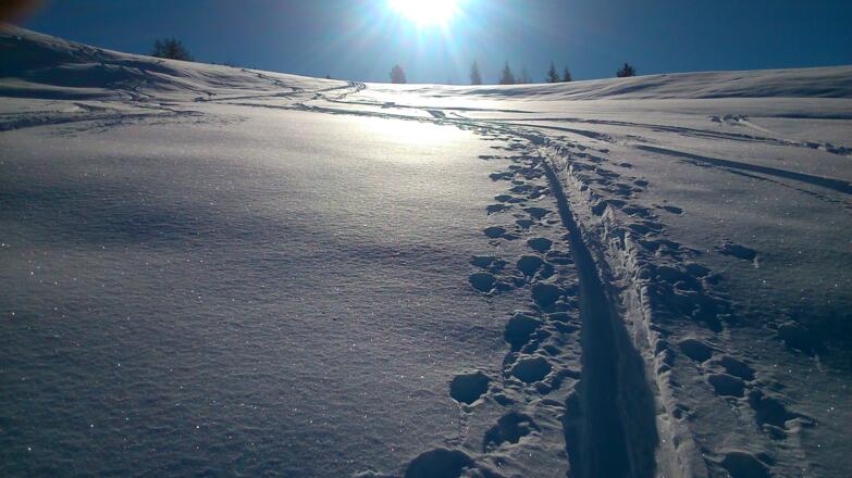 bestes Tourengelände