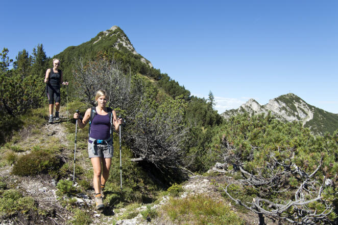 Anfangs ist der Tauern-Abstieg noch einfach ...