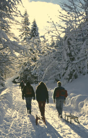 Nach einer Neuschneenacht