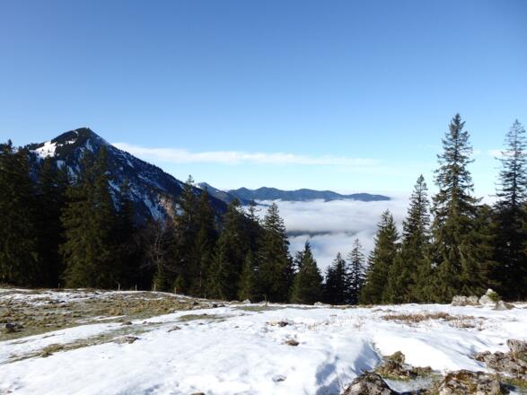 Lichtung Bodenalm