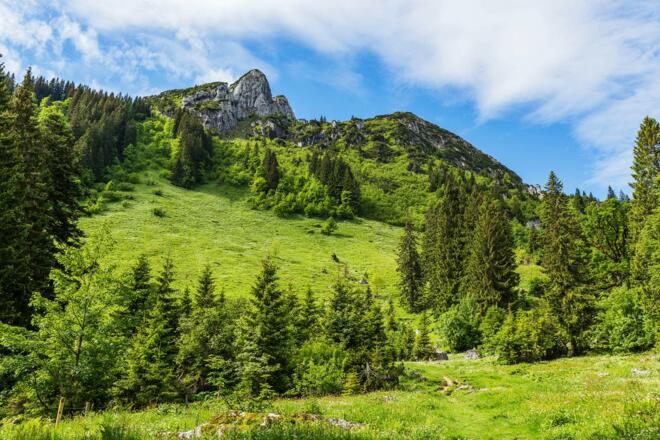 Ross- und Buchstein
