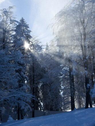 Die ersten Sonnenstrahlen erreichen die nordseitige Skipiste.