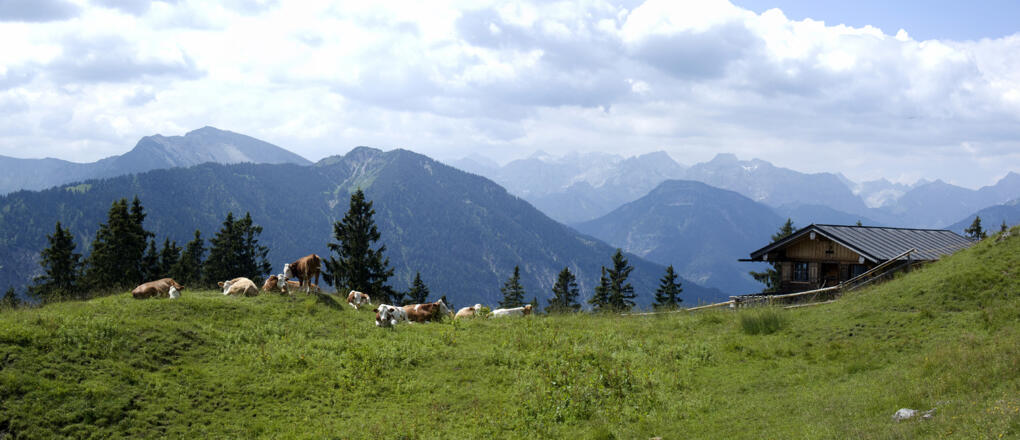 Die kleine Staffelhütte (Staffelalm-Hochleger) vor dem Karwendelgebirge
