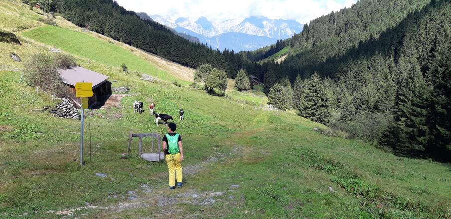 leicht abwärts zur Edenhaus-Aste