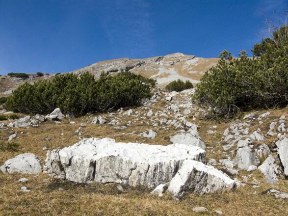 Steile Hänge beim Aufstieg zum Wiesjoch