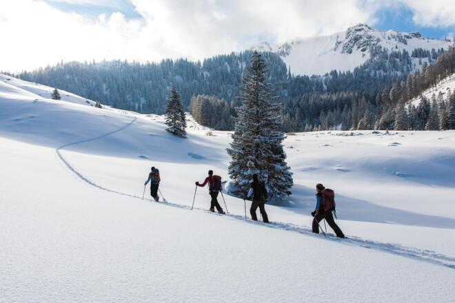 Liebliches Skigelände vor der Unteren Freudenreichalm