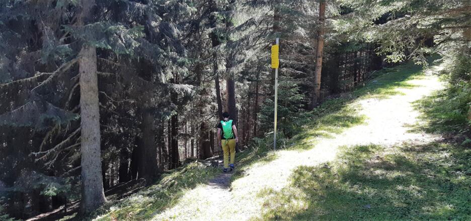 und mündet dann in einen schmalen Steig
