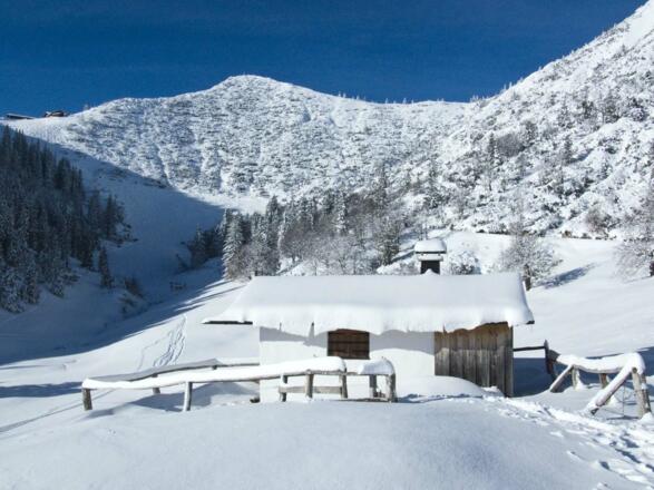 Über der Schlehdorfer Alm steht das Herzogstandhaus; rechts davon der Martinskopf.