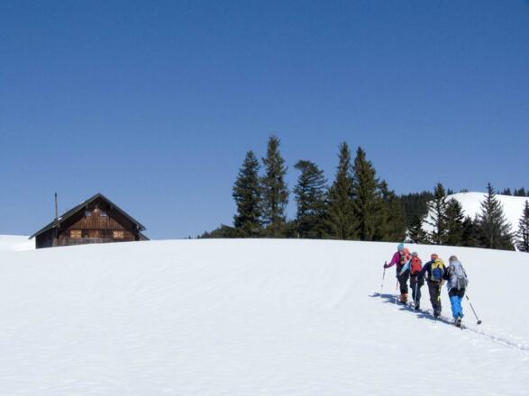 Aufstieg über die Gassenhofer Alm