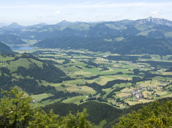 Die Gipfelschau vom Schnappen reicht auf den Walchsee und nach Schwendt ...