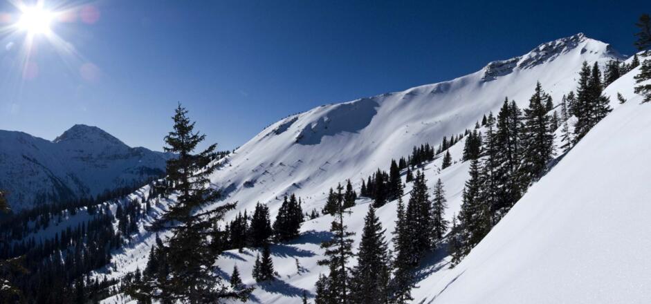 Panoramablick zur Scheinbergspitze