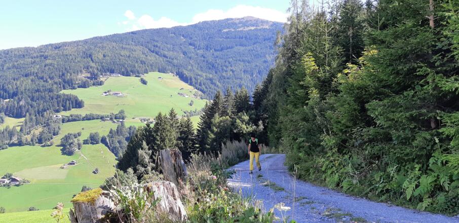 am Windeggweg aufwärts, mit schönem Blick Richtung Großvolderberg und den Largoz