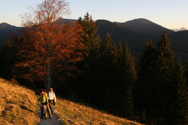 Kurz vor dem &quot;Gipfel&quot;.