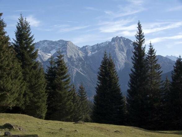 Landschaftlich ansprechend geht es auch im Waldbereich noch zu: Hier der Blick auf die Mieminger Kette.