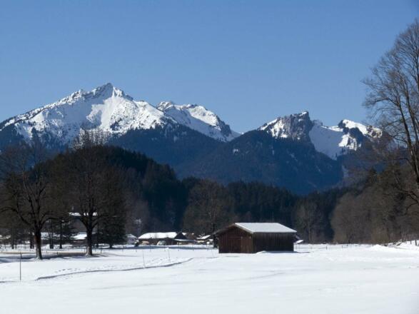 Der Scheinberg erhebt sich über dem Graswangtal (rechts der Hasentalkopf mit der schneidigen Firnabfahrt durch den Hasentalgraben).