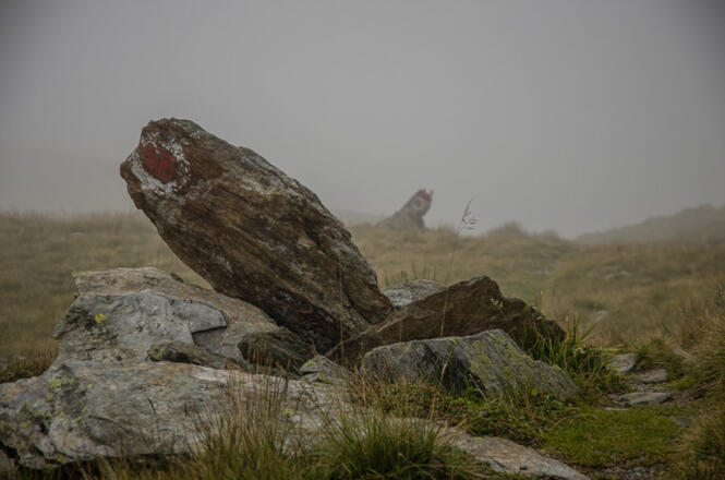 Leider keine Aussicht - unterwegs auf dem Höhenweg im Bereich des Klingentörls.