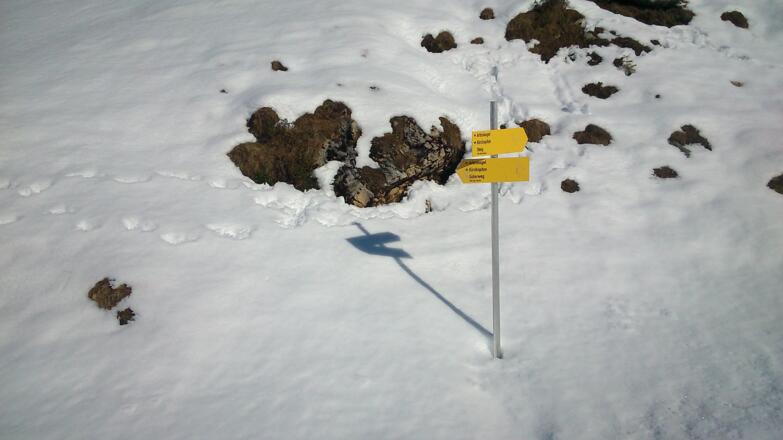 beschildert geht es im frei werdenden Gelände zur Fustalm