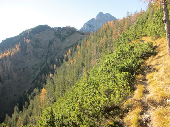 Blick zurück zum Hirschkopf und zur Fiechter Spitze