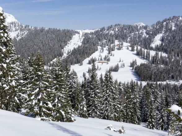 Die Ludwig-Aschenbrenner-Hütte (Gufferthaus) ist zwar in der Nähe, wird aber nicht erreicht.