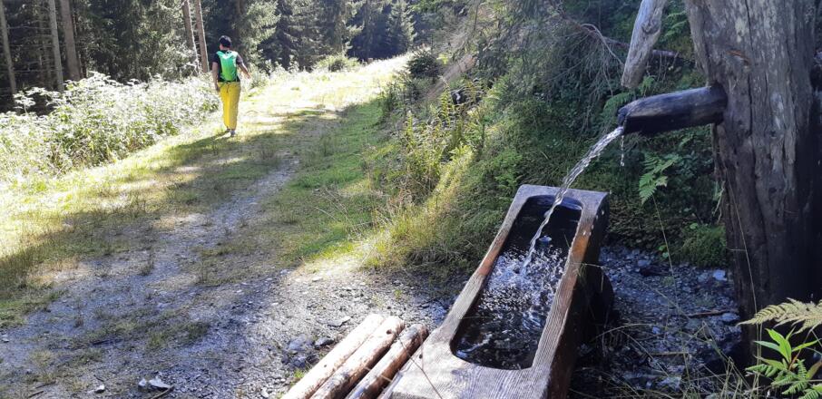 Zuerst ist der Weg ins Voldertal noch breit