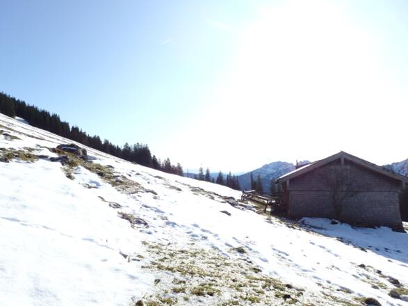 Bodenalm
