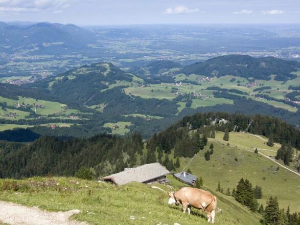 Bereits in der Nähe der Seitenalm öffnen sich freie Blicke auf den Chiemgau.