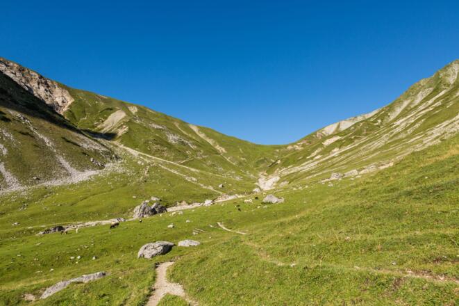 Auf dem Weg zum Joch