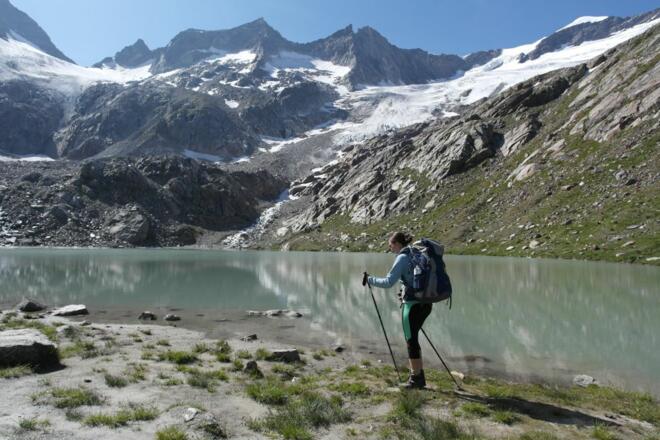 Simonysee
