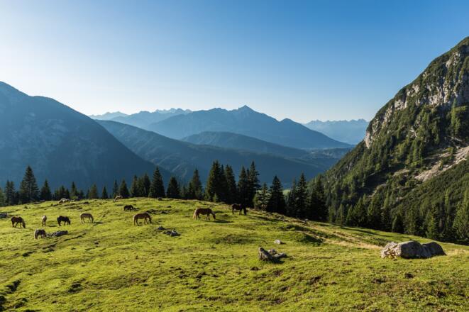 Blick zurück