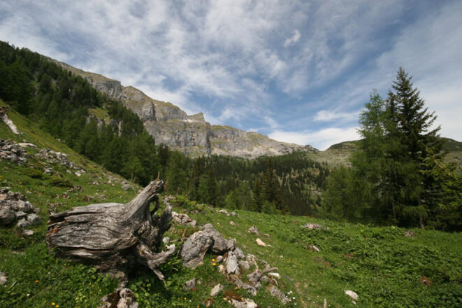 Anstieg zum Sonnwendjoch
