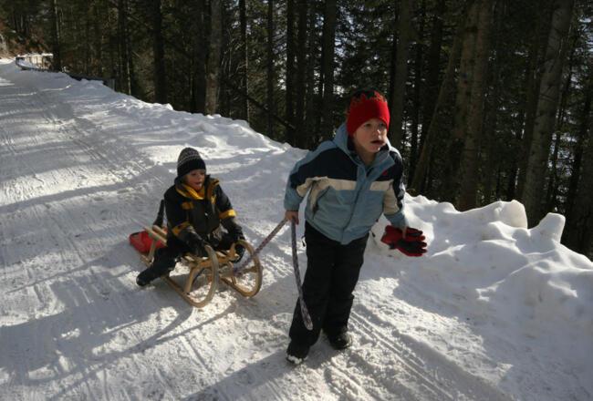 Ausftieg mit Rodel zur Firstalm