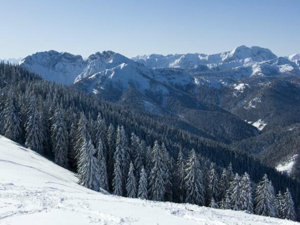 Gipfelaussicht zu Schinder und Guffert