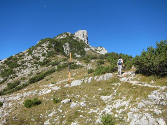 Von der Hinterhornalm Richtung Hundskopf