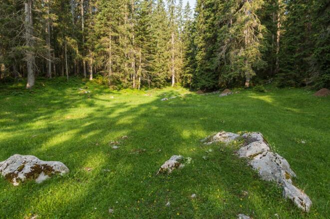 geradeaus weiter zum Wildsee