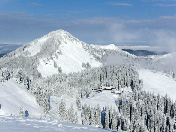 Gipfelblick auf die Obere Firstalm und die Bodenschneid