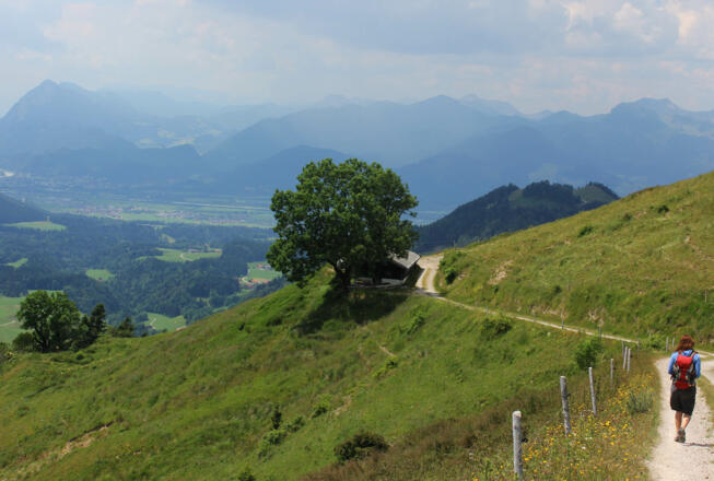 Almgelände unterhalb Brennkopf