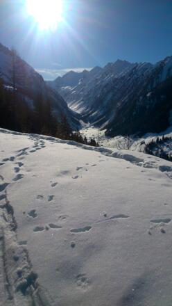 entlang des Hangs mit Blick ins Wimmertal