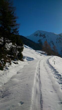 in angenehmer Steigung