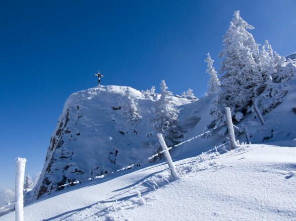 Die letzten Meter des Anstiegs schauen wild aus, sind es aber nicht.